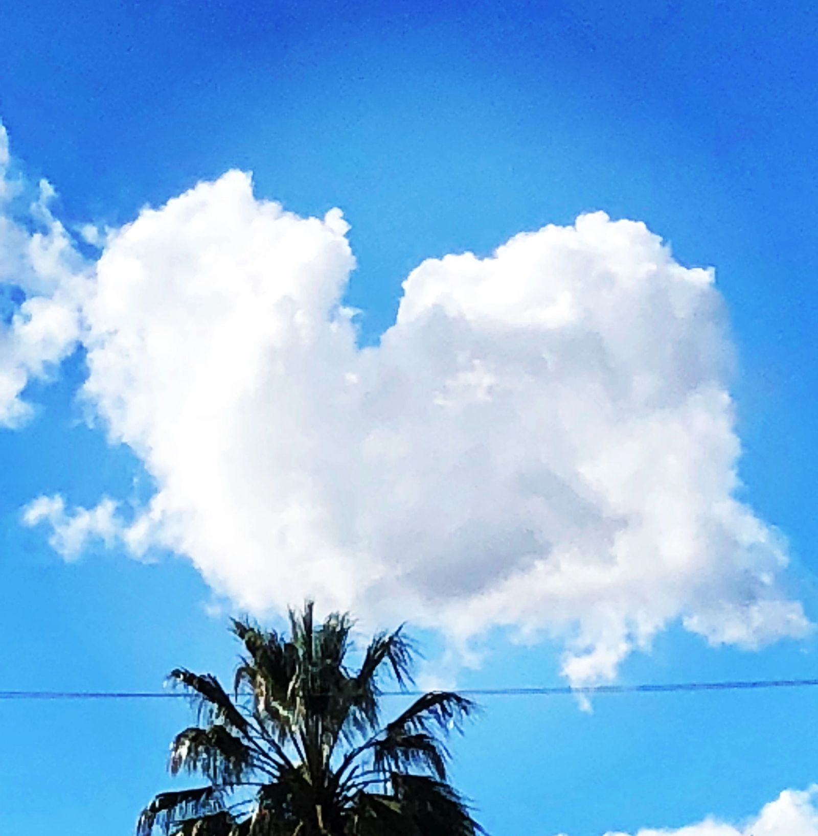 A heart shaped cloud in a blue sky