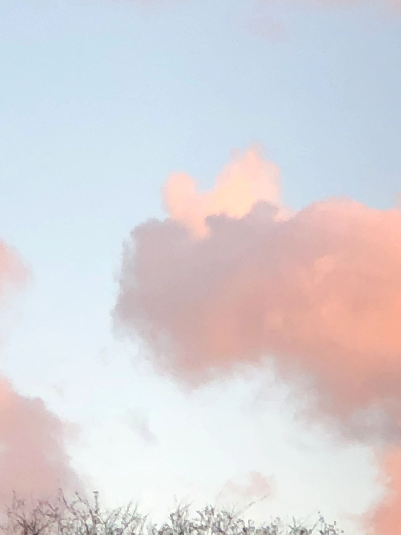 Soft pink and gold light in the sky