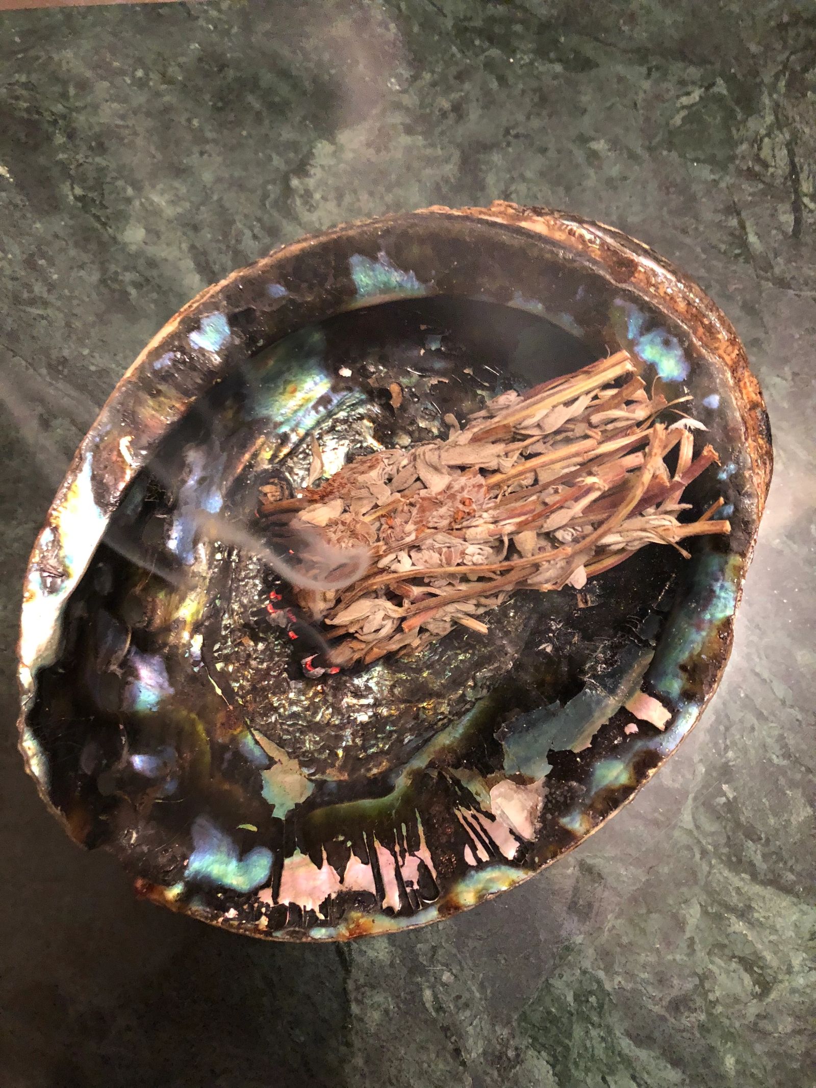 An abalone shell with sage for spiritual cleansing